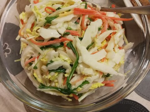 白菜にんじん水菜のコールスロー